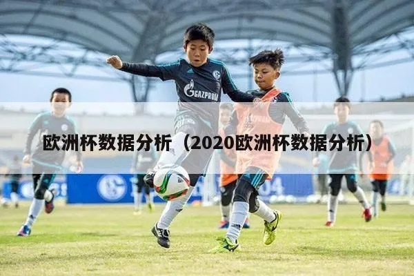 2020年欧洲杯数据分析 2020年欧洲杯数据分析报告-第2张图片-www.211178.com_果博福布斯