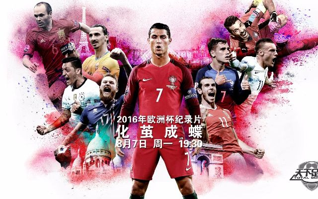 天下足球2016欧洲杯 天下足球16年欧洲杯专题-第2张图片-www.211178.com_果博福布斯